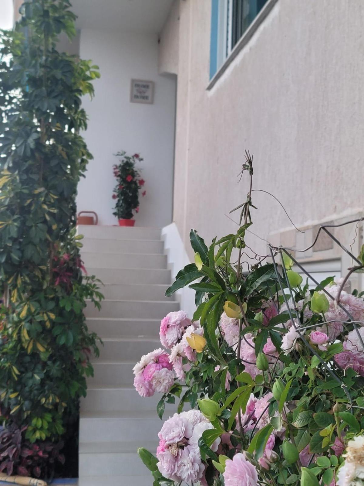 Selami Sea View Apartments Лукове Экстерьер фото